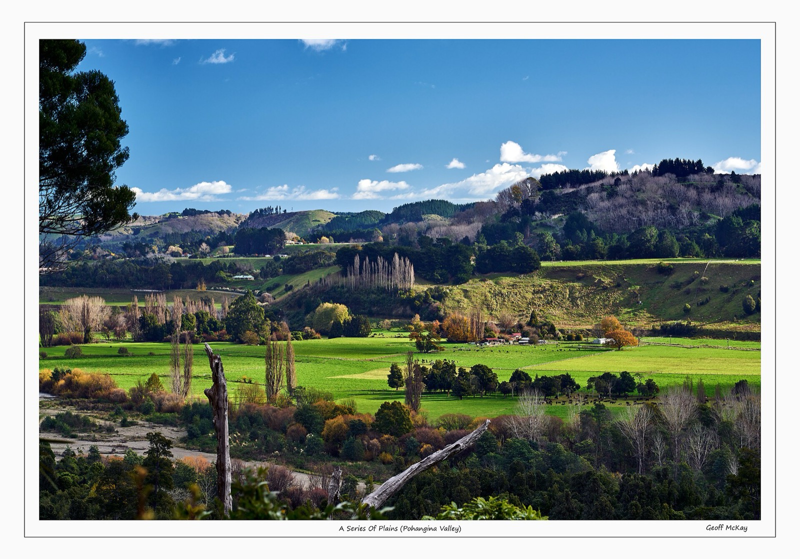 Ashhurst Domain & the Pohangina Valley, Palmerston North & Manawatū